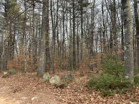 32 Neal Hill Road Tuftonboro NH 03816