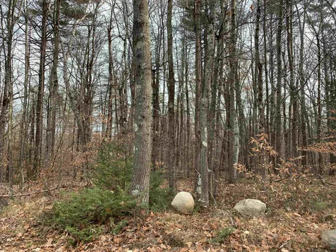32 Neal Hill Road Tuftonboro NH 03816