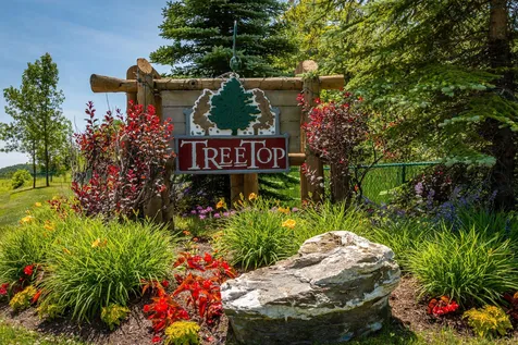 11b Balsam Corner Court Stratton VT 05155