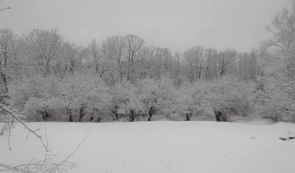 481 Hillside Road Hartford VT 05001