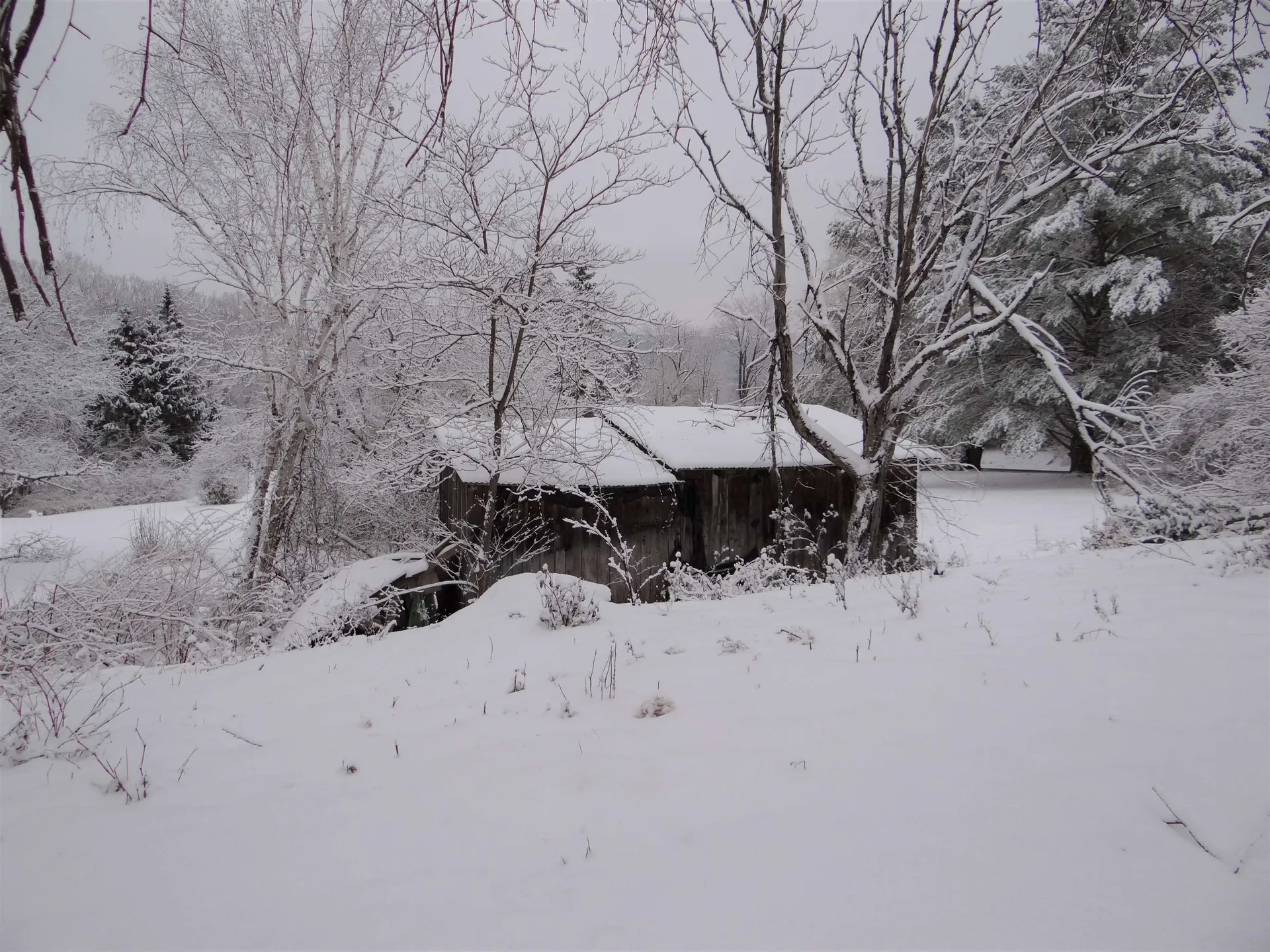 481 Hillside Road Hartford VT 05001