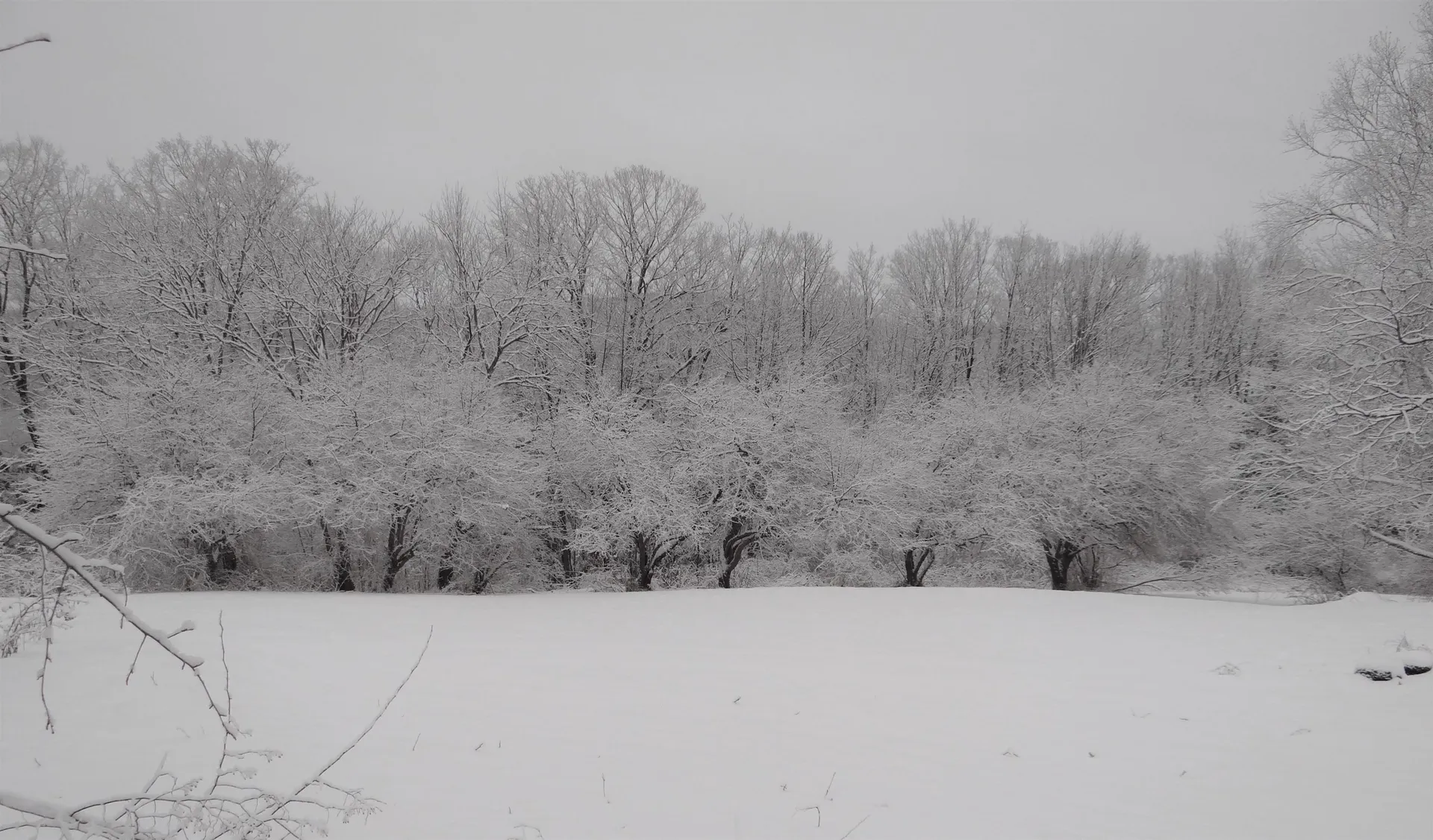481 Hillside Road Hartford VT 05001