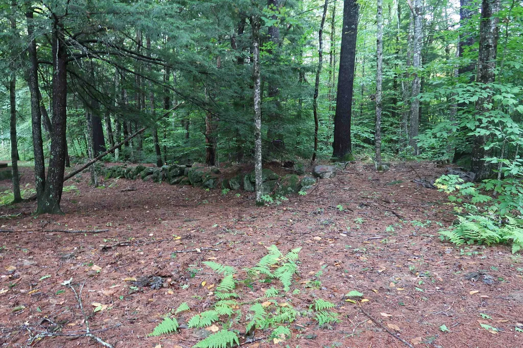 97 Cooper Road Hebron NH 03241