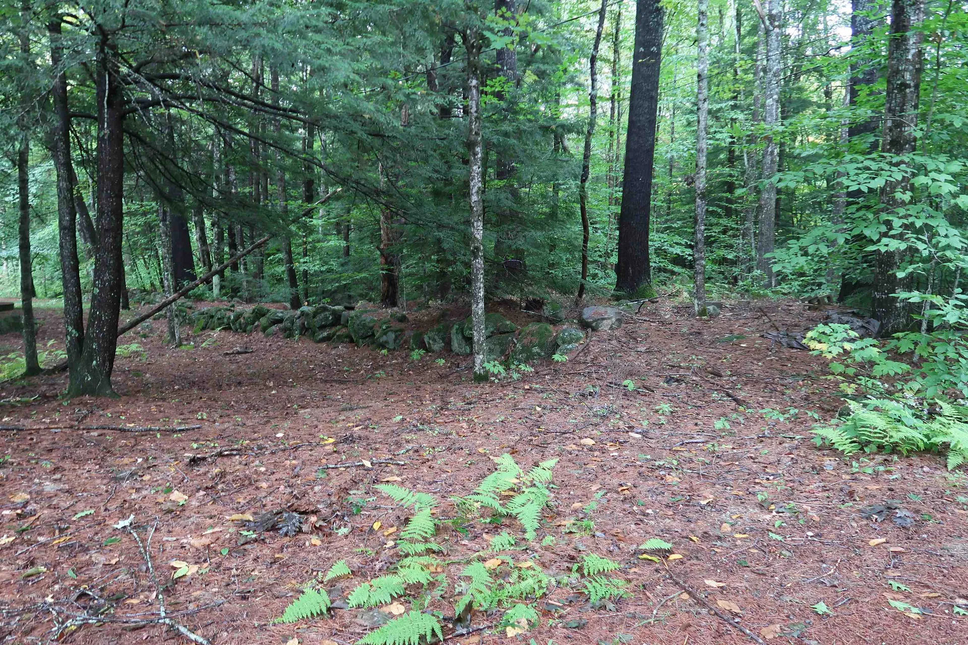 97 Cooper Road Hebron NH 03241