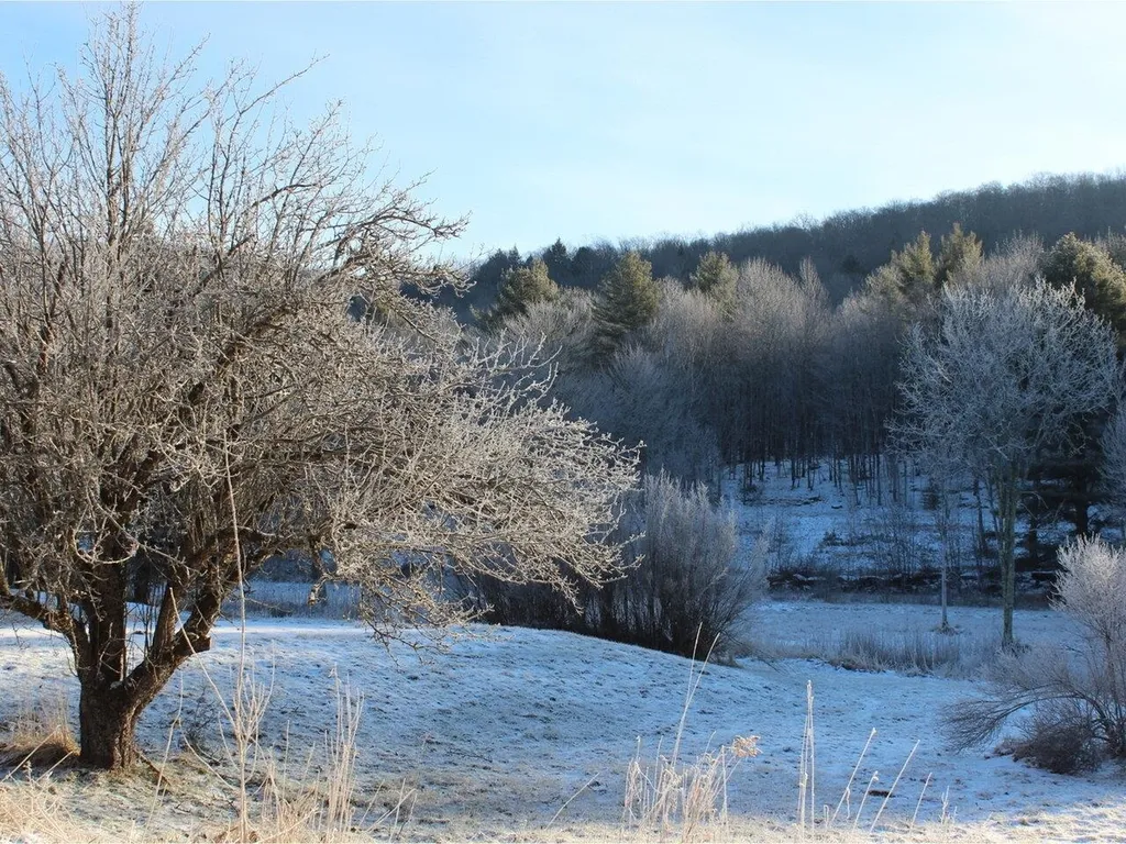 773 Osgood Hill Road Westford VT 05494