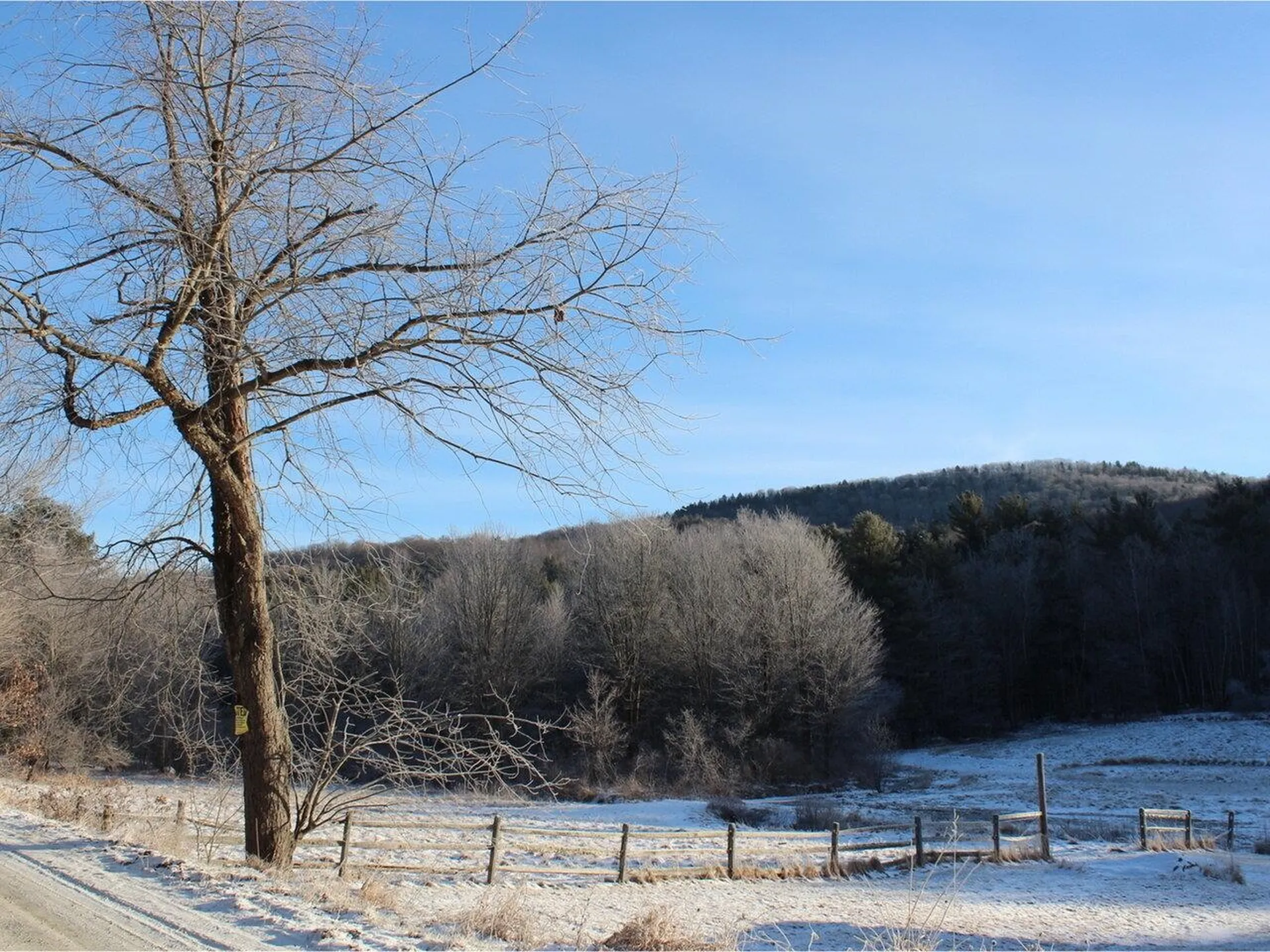 773 Osgood Hill Road Westford VT 05494