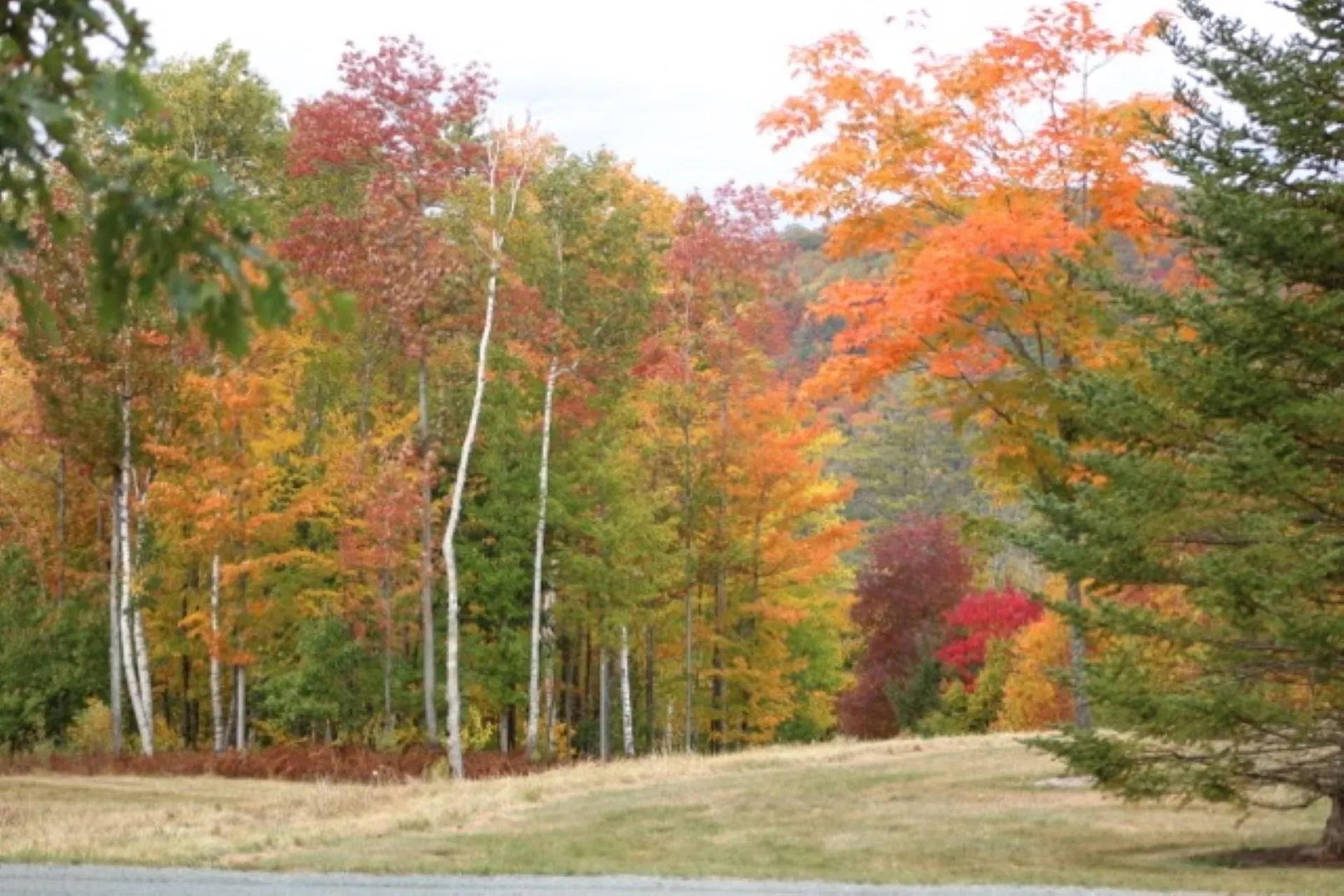 128 Orfordville Road Lyme NH 03768