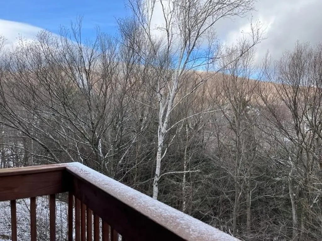 130 Snow Creek Road Warren VT 05674