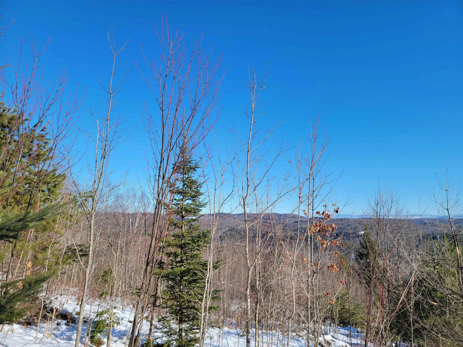 148 Welch Road Topsham VT 05076