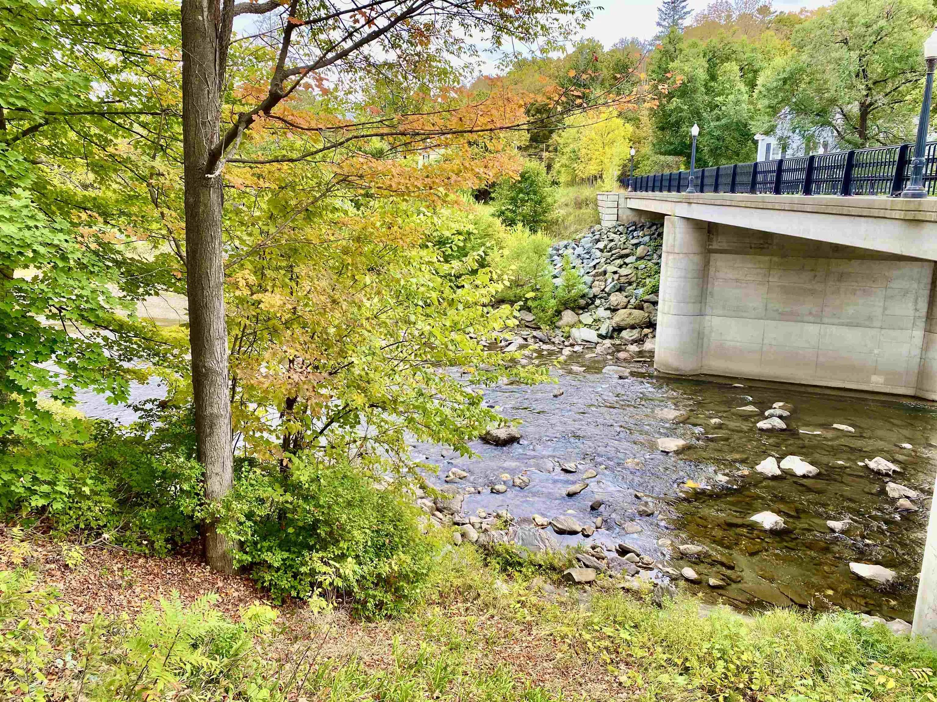 46 River Street Woodstock VT 05091