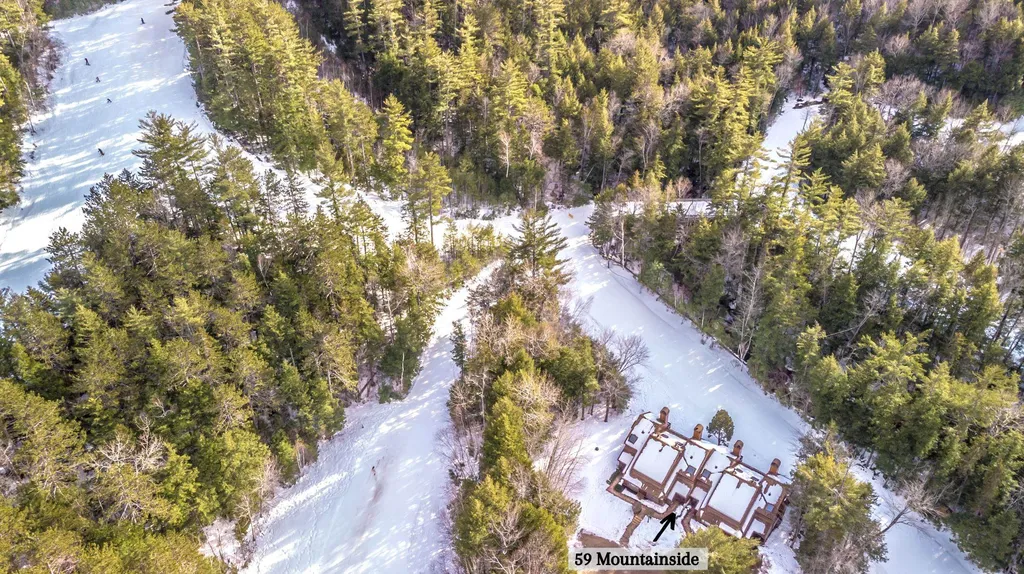 59 Mountainside At Attitash Road Bartlett NH 03812
