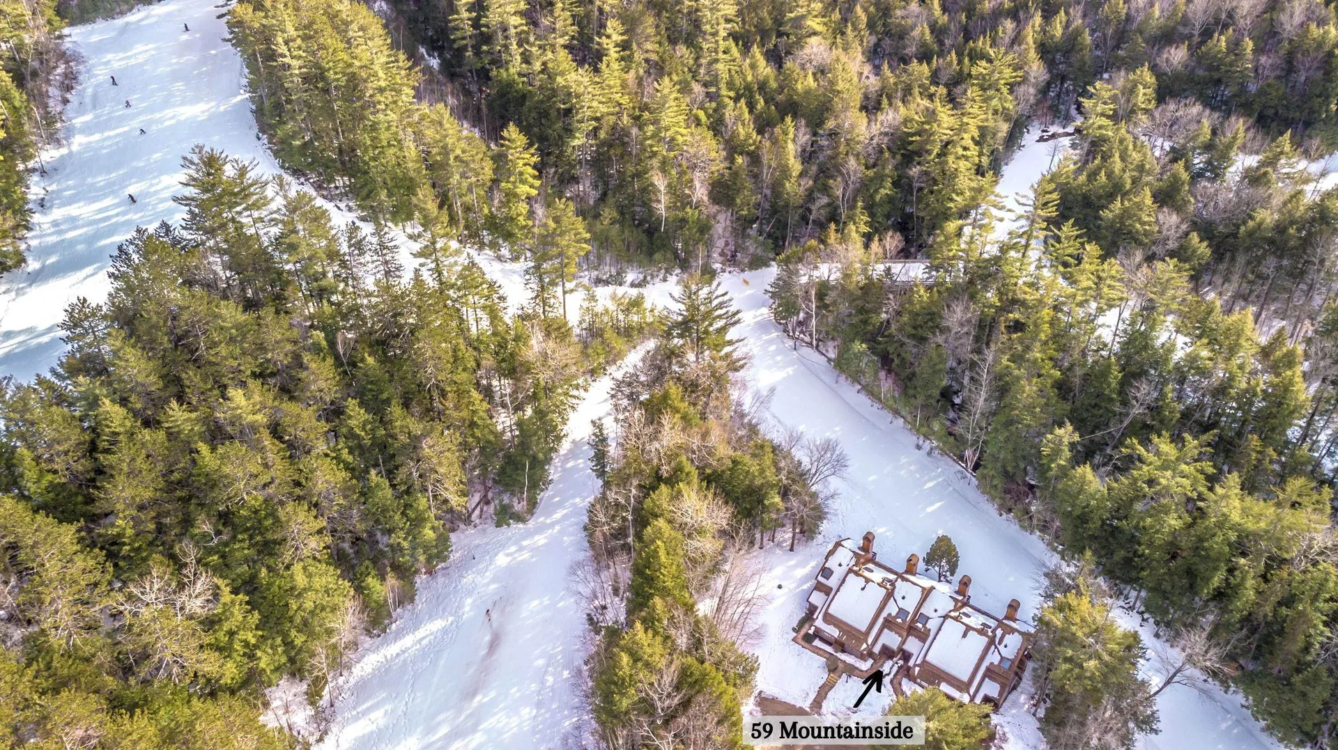 59 Mountainside At Attitash Road Bartlett NH 03812