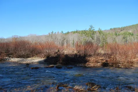 Us Route 302 Bartlett NH 03812