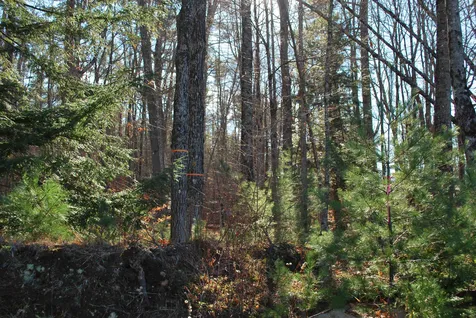 Us Route 302 Bartlett NH 03812