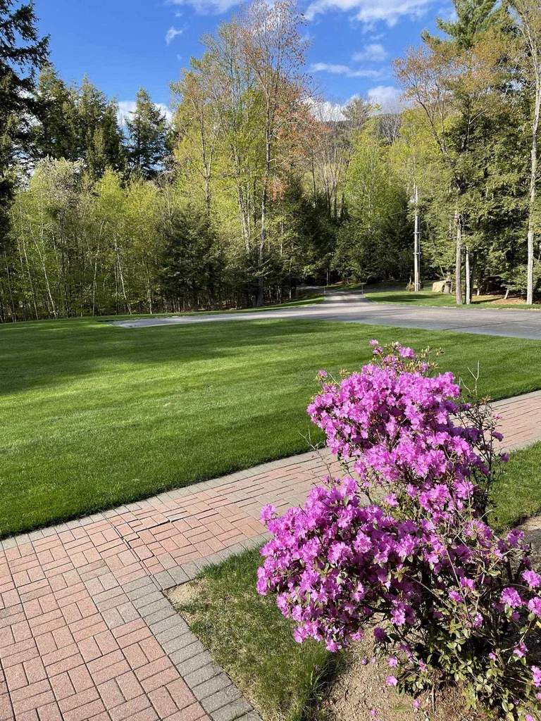 44 Washington Avenue Bartlett NH 03812