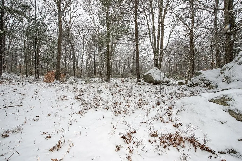 1339 Gore Road Alfred ME 04002