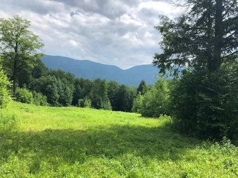 Lot A Old Maple Lane Danby VT 05739