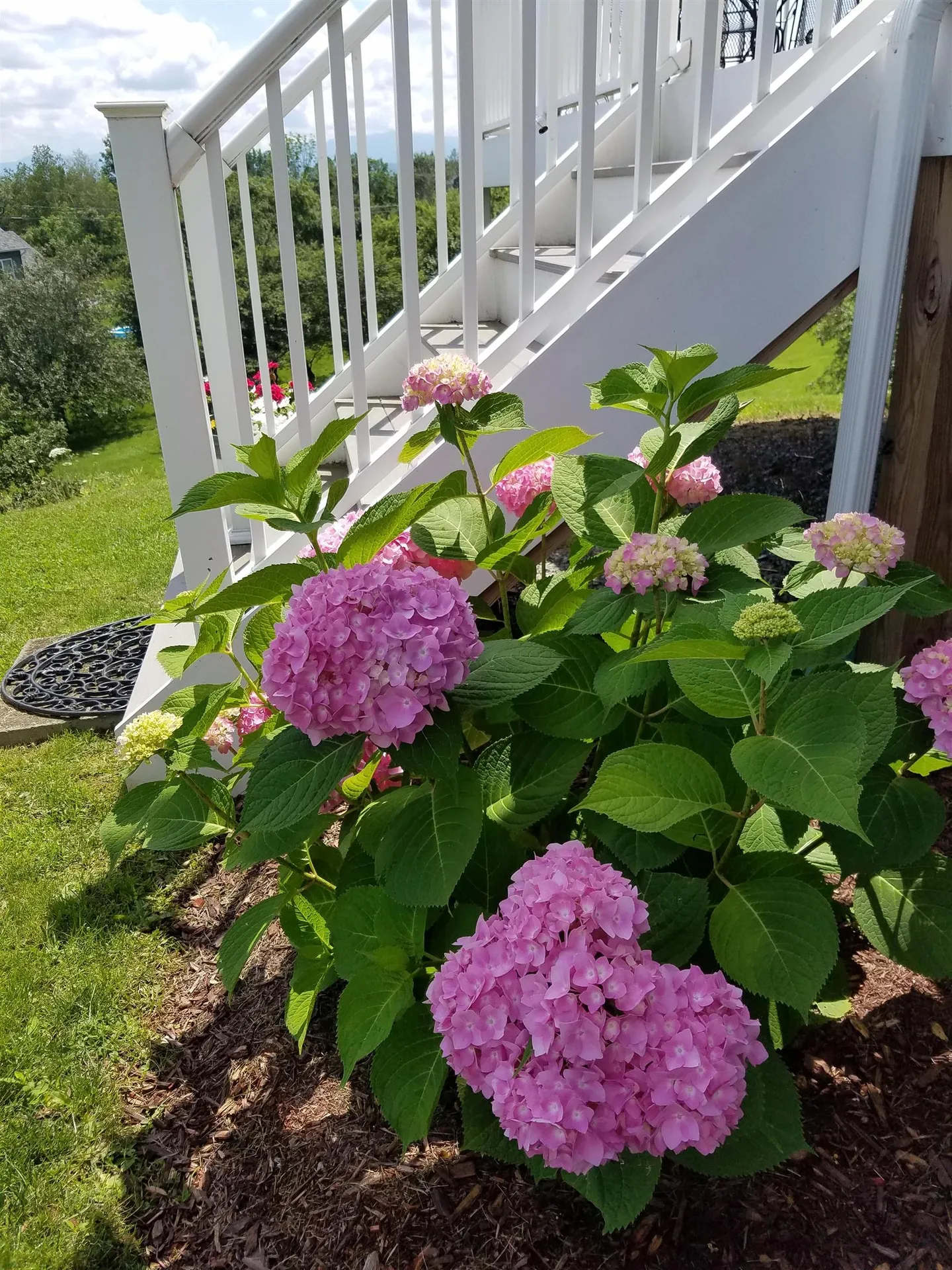 34 Rock View Road Fairfax VT 05454