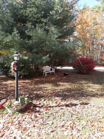 30 Dogwood Terrace Loudon NH 03307