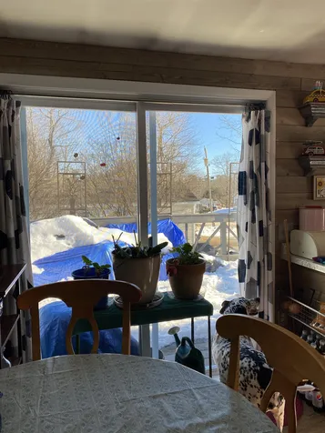 30 Dogwood Terrace Loudon NH 03307