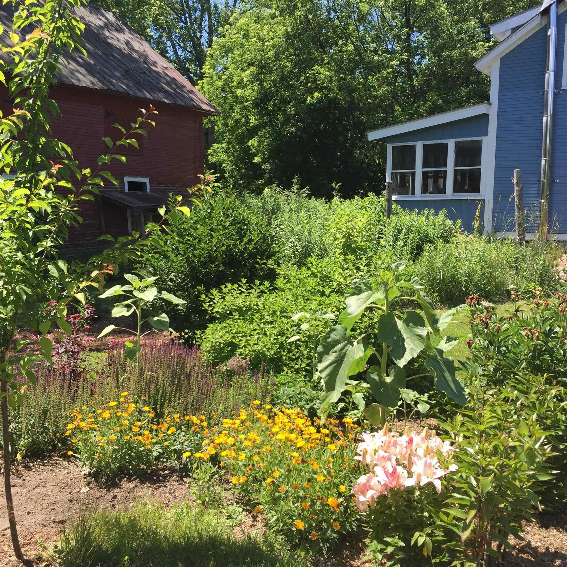 22 Maple Street Fairfax VT 05454