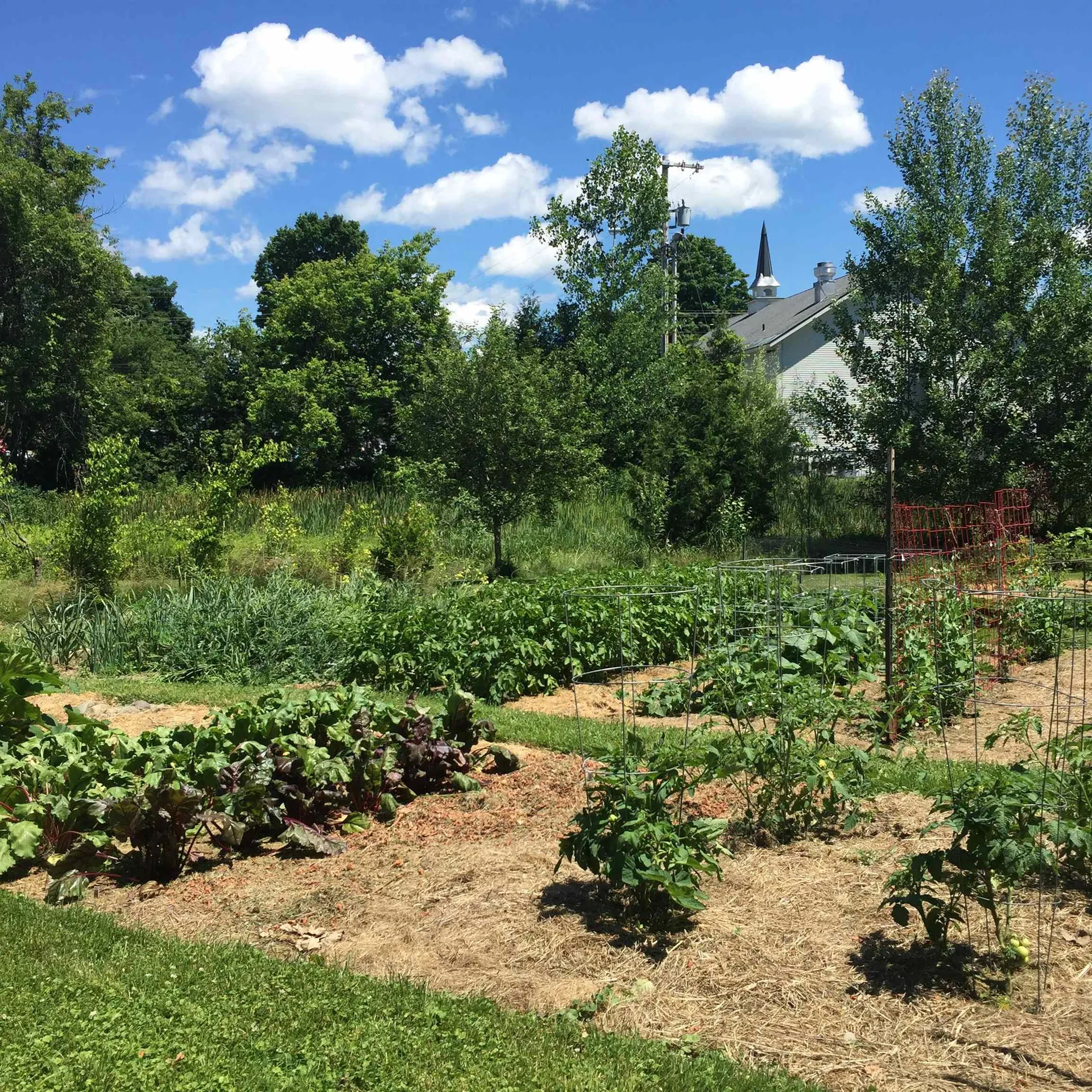 22 Maple Street Fairfax VT 05454