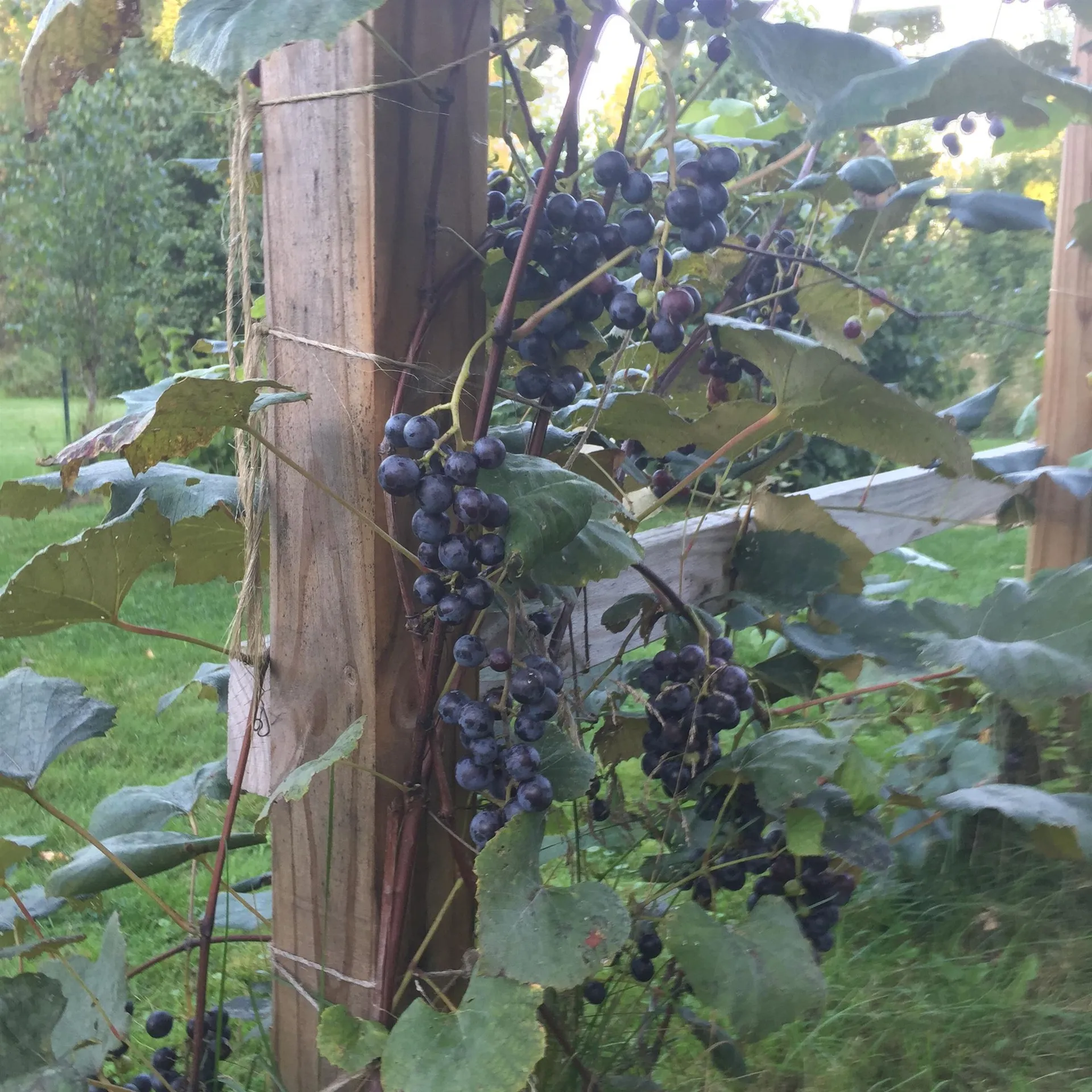 22 Maple Street Fairfax VT 05454