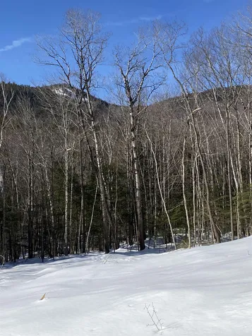 F5 Cave Mountain Road Bartlett NH 03812