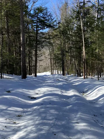 F5 Cave Mountain Road Bartlett NH 03812
