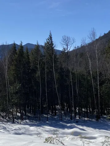 F5 Cave Mountain Road Bartlett NH 03812