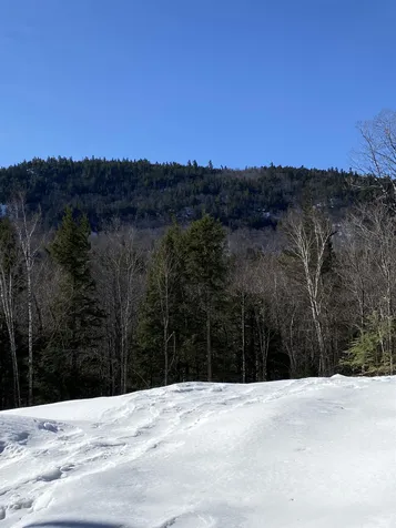 F5 Cave Mountain Road Bartlett NH 03812