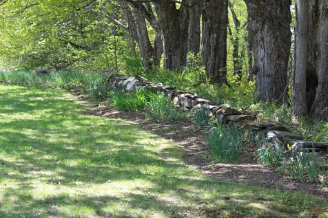 579 Country Club Road Greensboro VT 05841