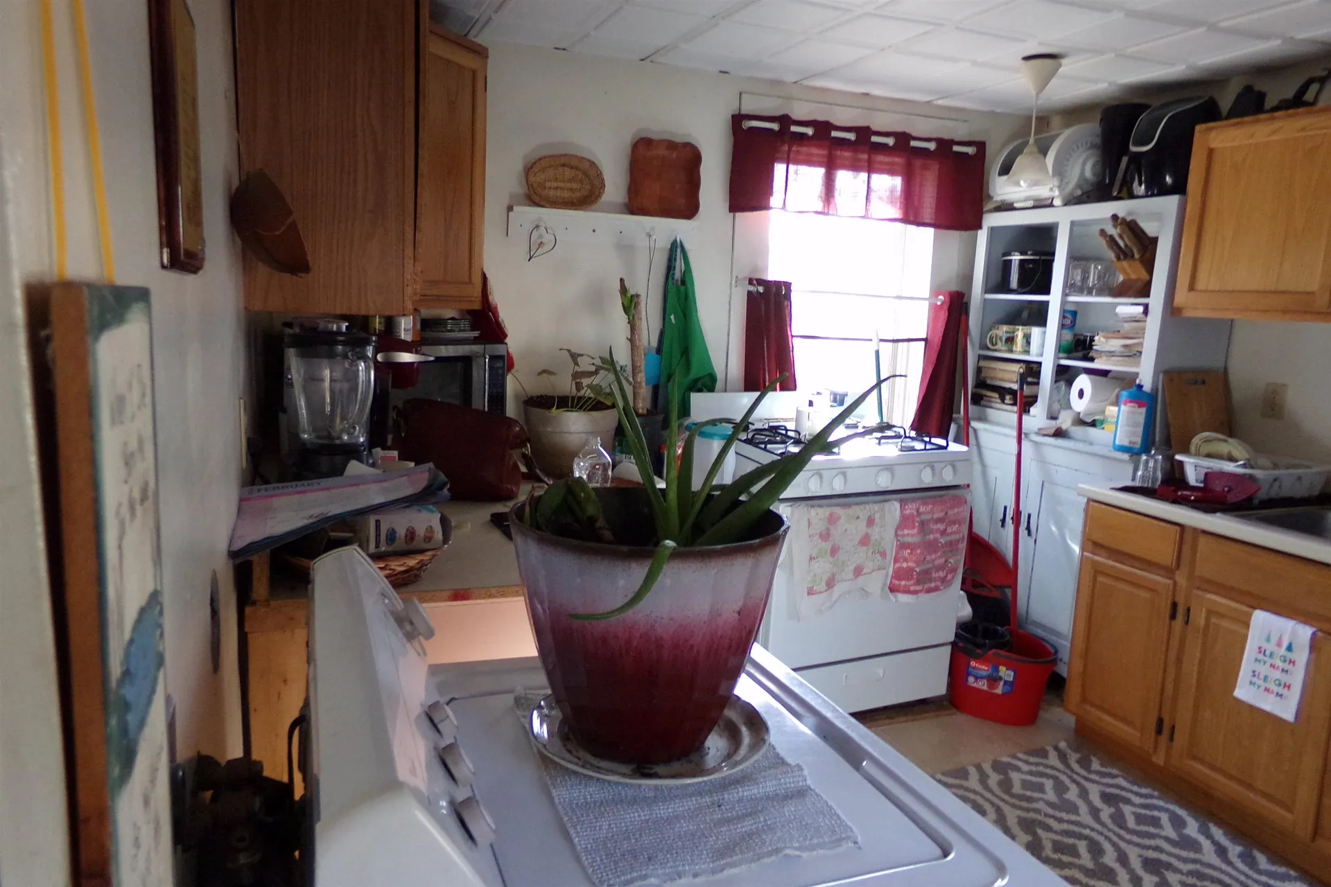 243 South Pleasant Street Bradford VT 05033