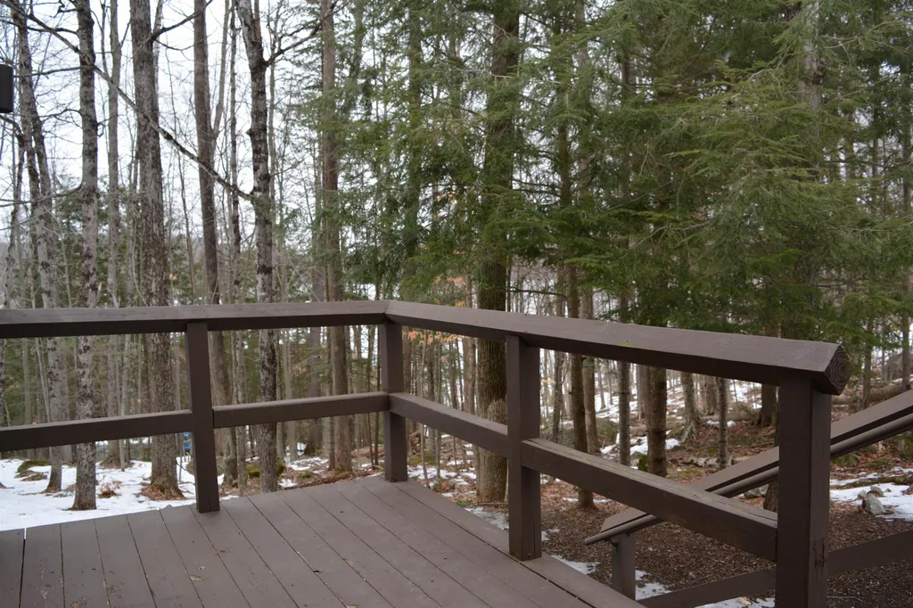 60 College Overlook Grantham NH 03753