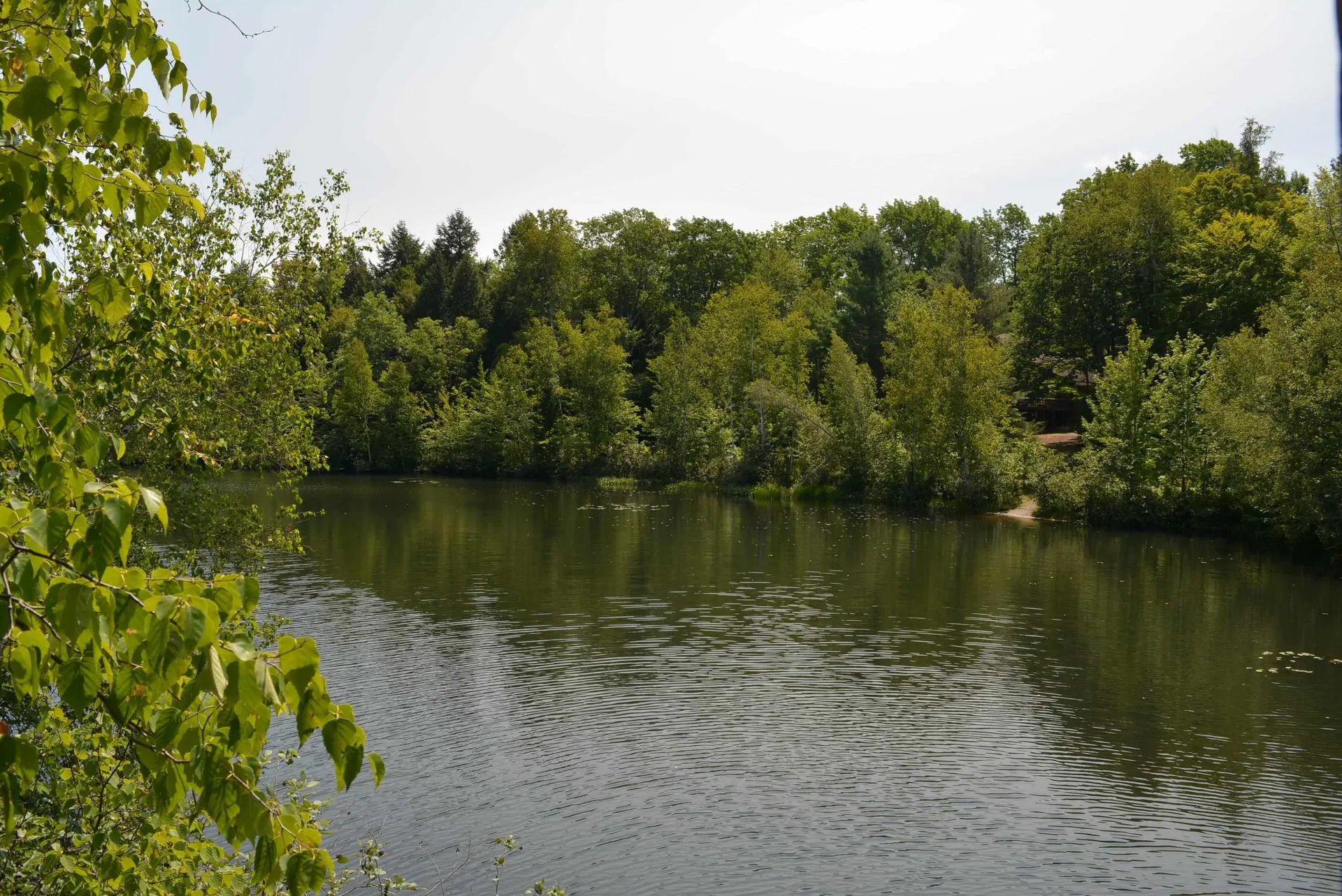 60 College Overlook Grantham NH 03753