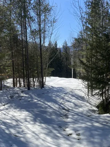 F11 Cave Mountain Road Bartlett NH 03812