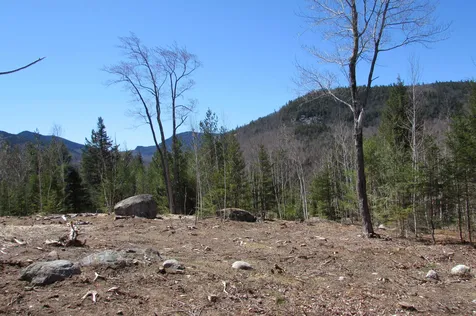 F11 Cave Mountain Road Bartlett NH 03812
