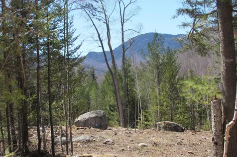F11 Cave Mountain Road Bartlett NH 03812