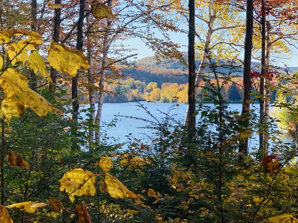 7 Sylvan Walk Grantham NH 03753