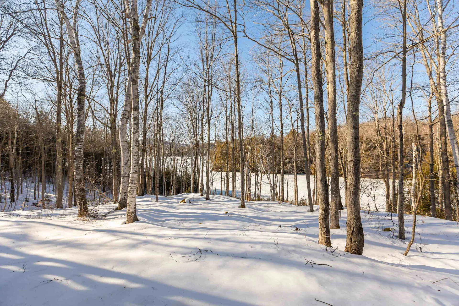 7 Sylvan Walk Grantham NH 03753