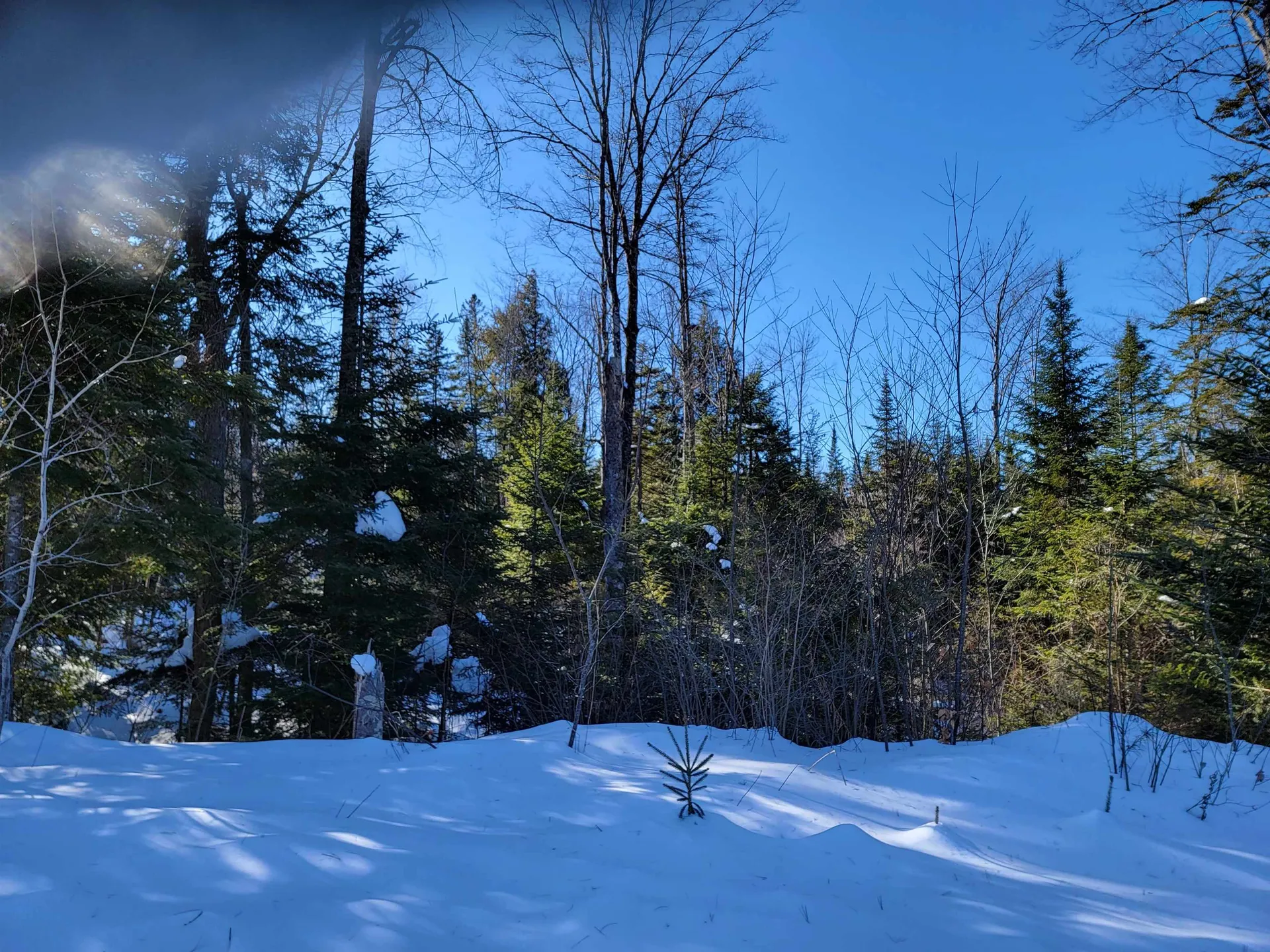 58 Vance Place Corinth VT 05039