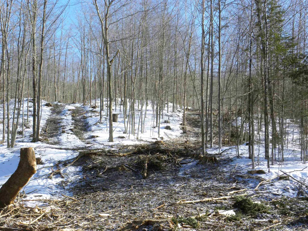 0 Willey Hill Road Topsham VT 05076