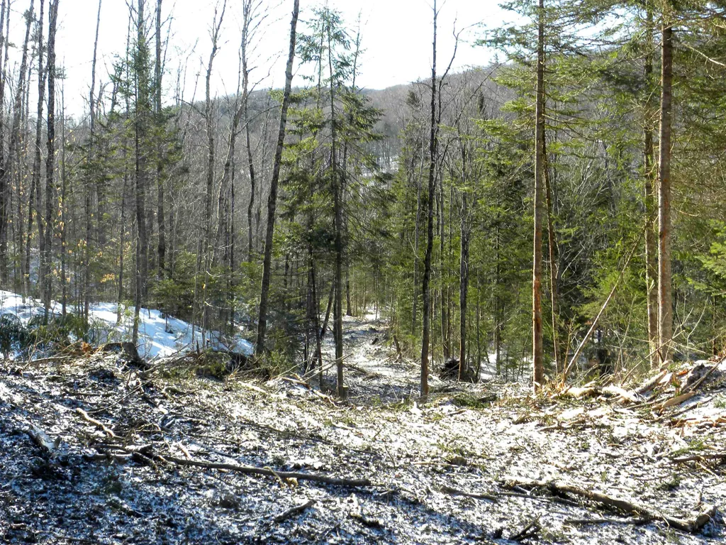 0 Willey Hill Road Topsham VT 05076