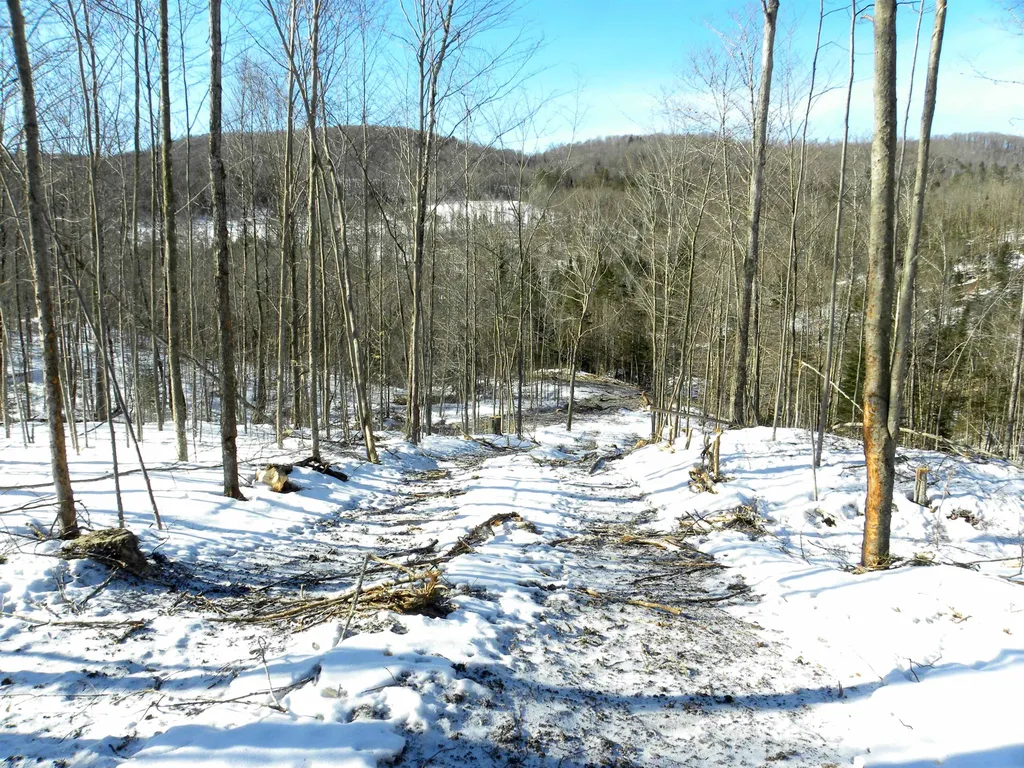 0 Willey Hill Road Topsham VT 05076