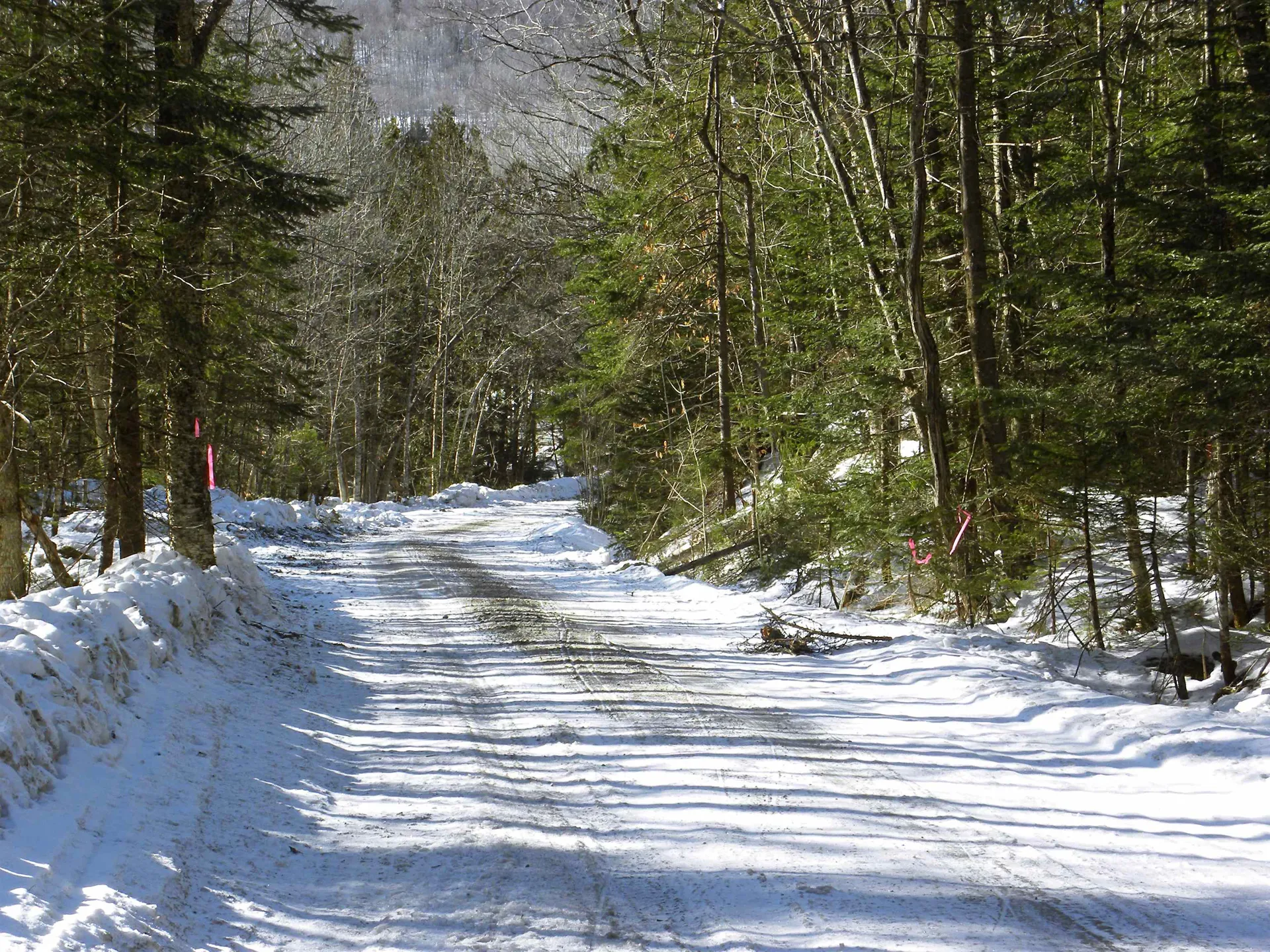 0 Willey Hill Road Topsham VT 05076