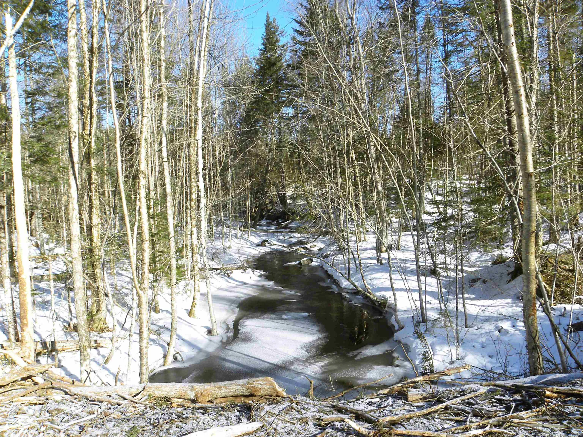 0 Willey Hill Road Topsham VT 05076
