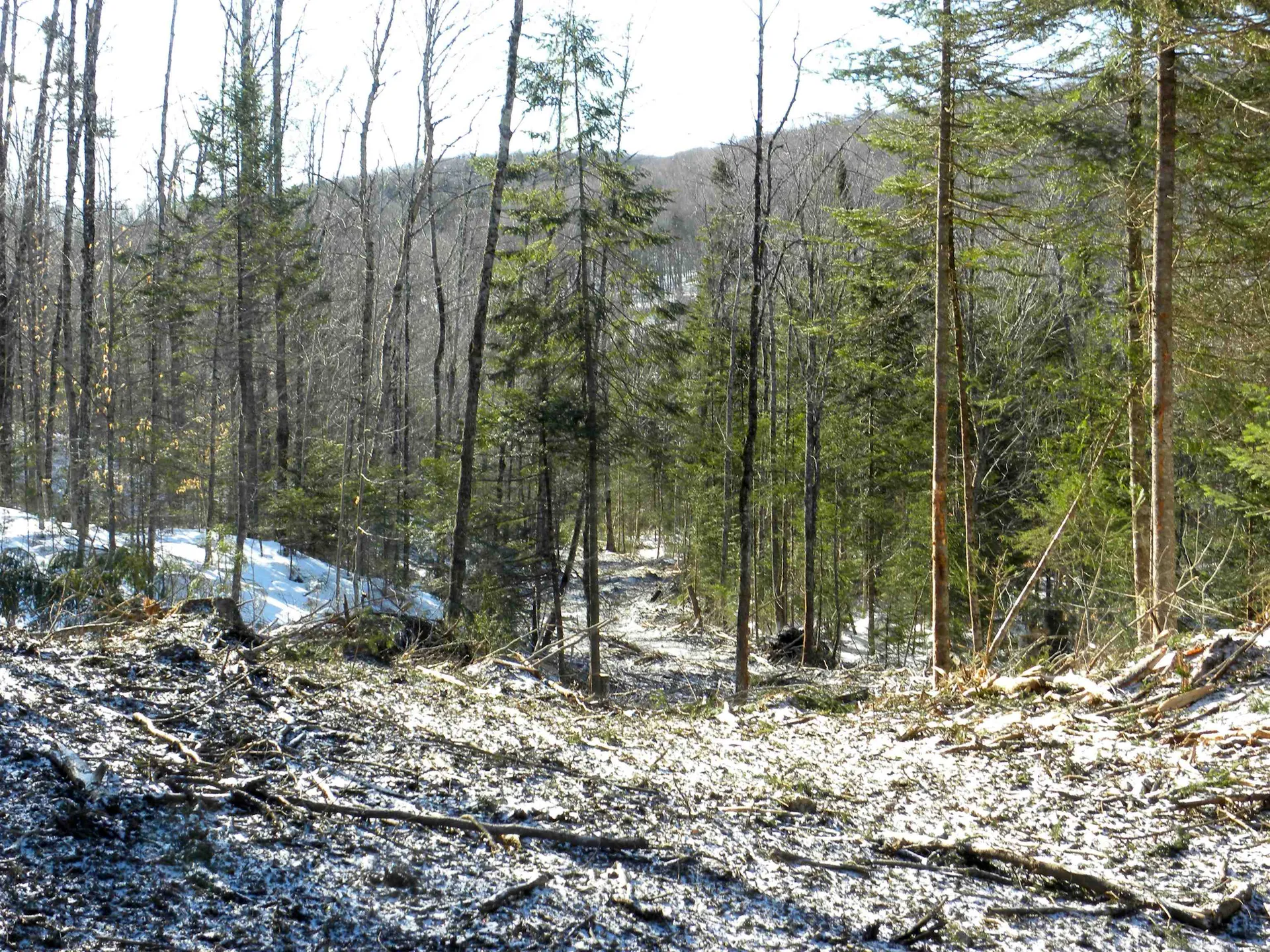 0 Willey Hill Road Topsham VT 05076