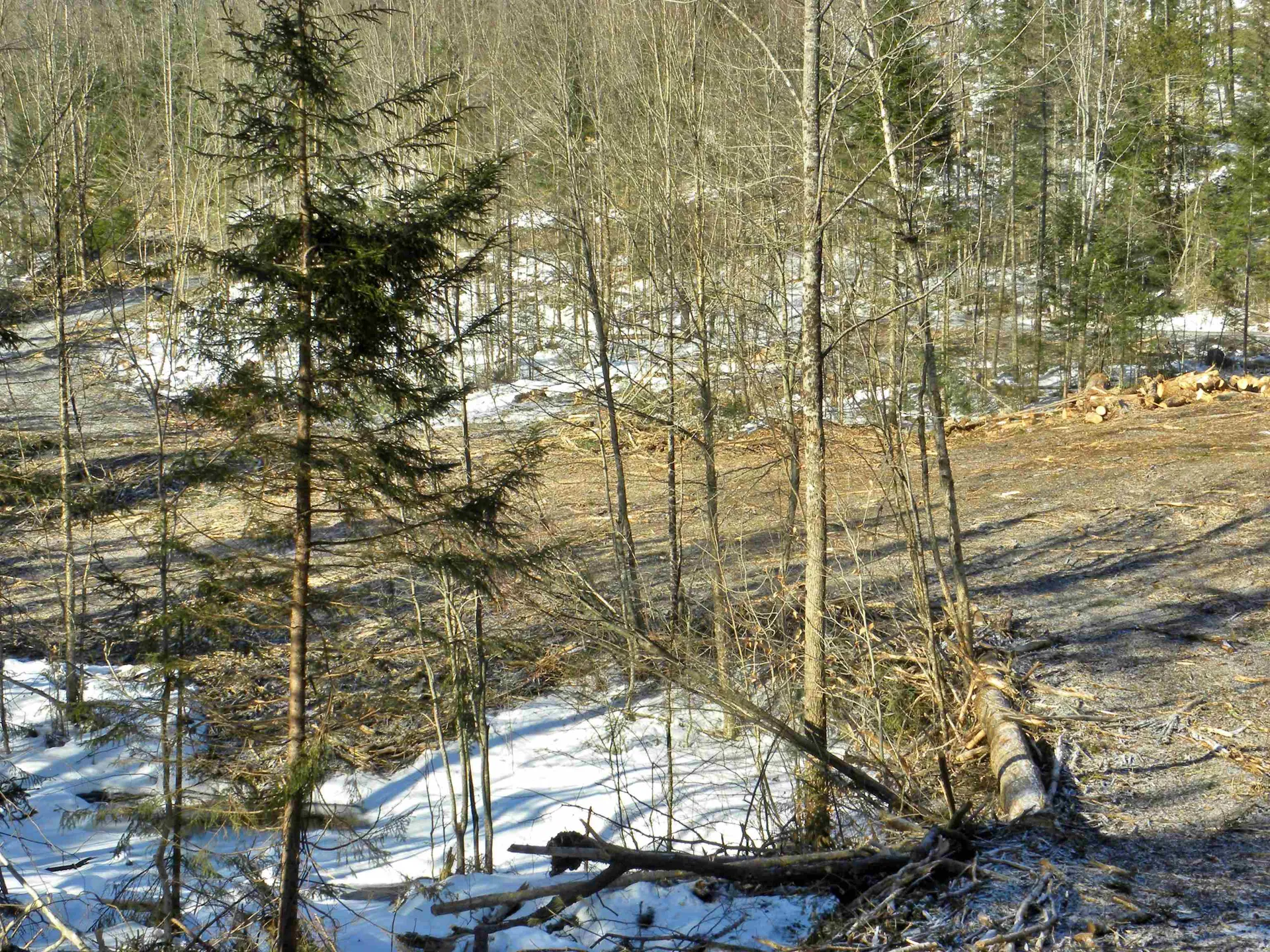 0 Willey Hill Road Topsham VT 05076