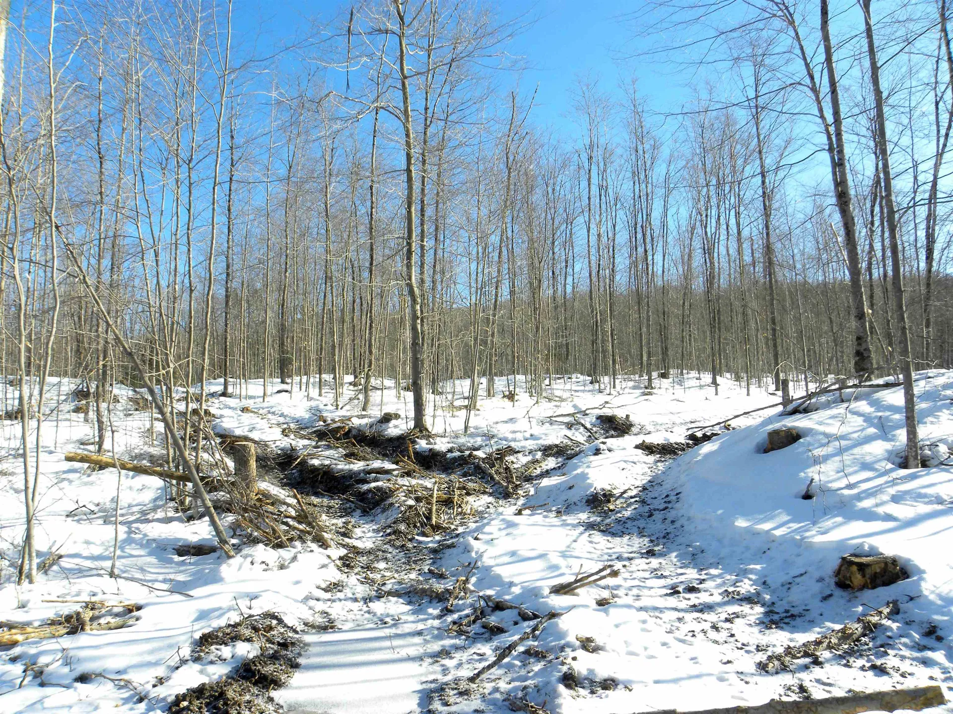 0 Willey Hill Road Topsham VT 05076