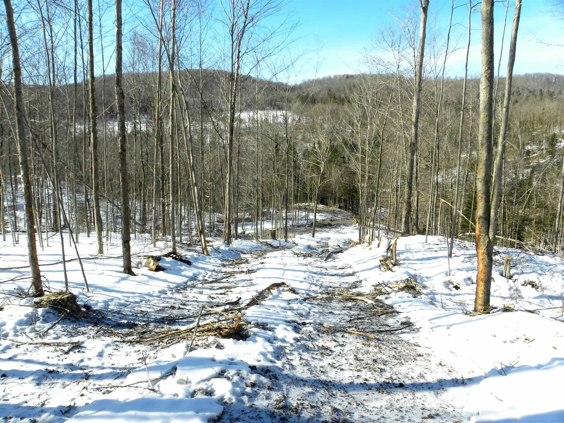 0 Willey Hill Road Topsham VT 05076